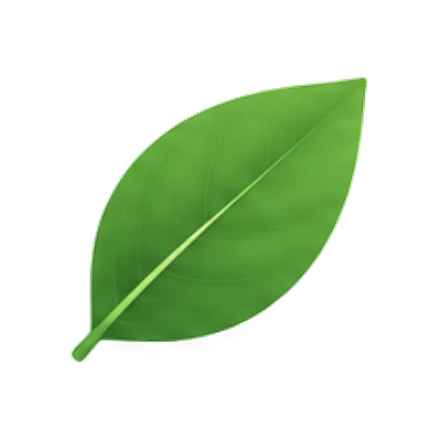 Clear, a green leaf